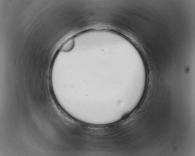 X0000115621229200912221221