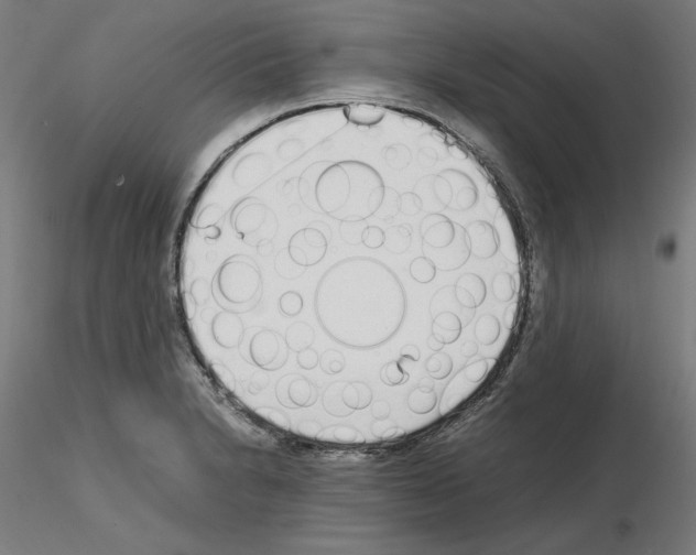 X0000115621230200912221221