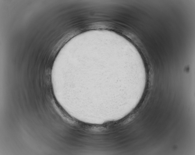 X0000115621233200912221221