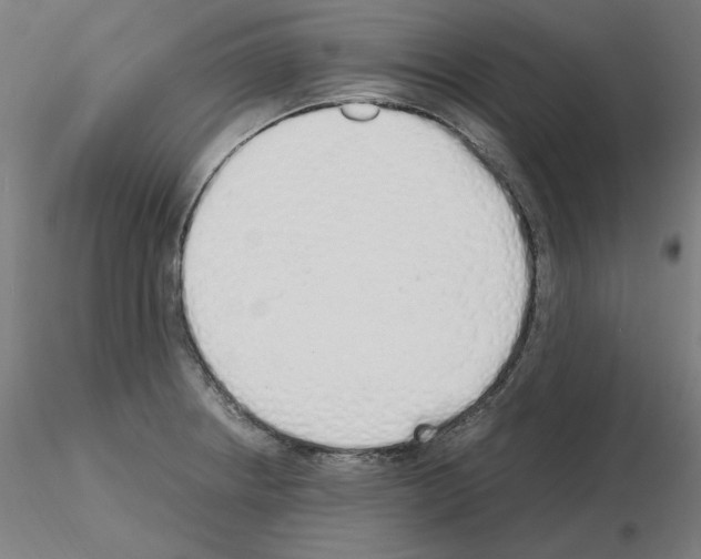 X0000115621234200912221221