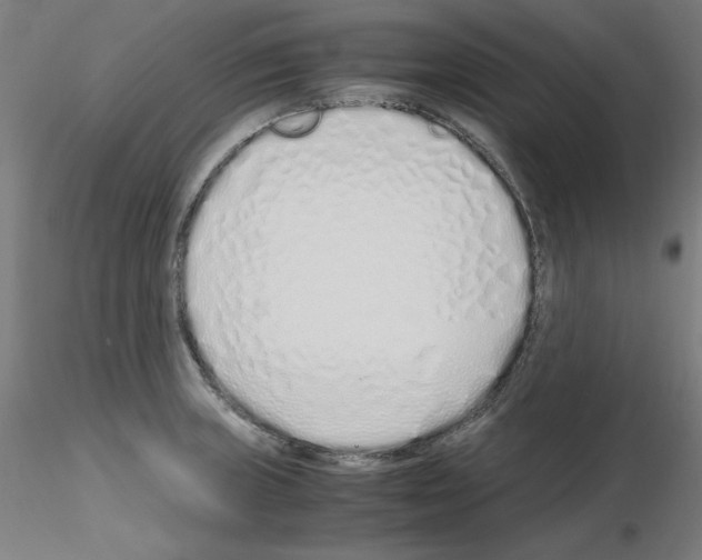 X0000115621235200912221221