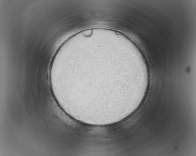 X0000115621238200912221221