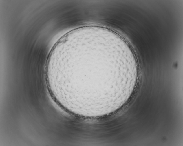 X0000115621239200912221221