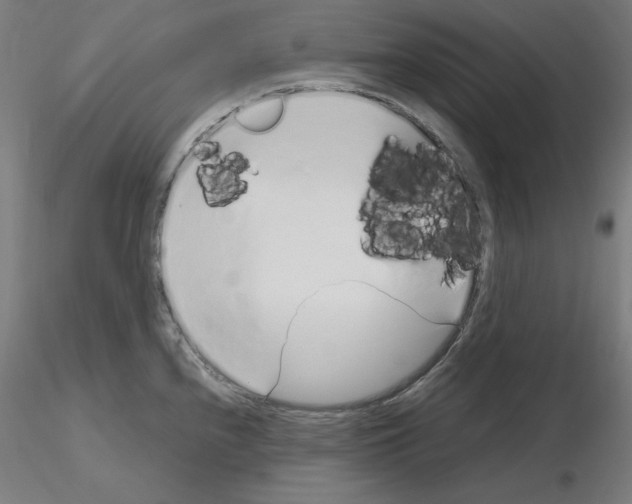 X0000115621240200912221221