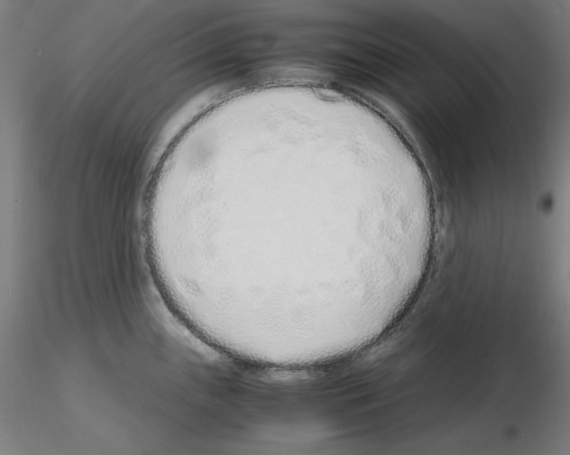 X0000115621243200912221221