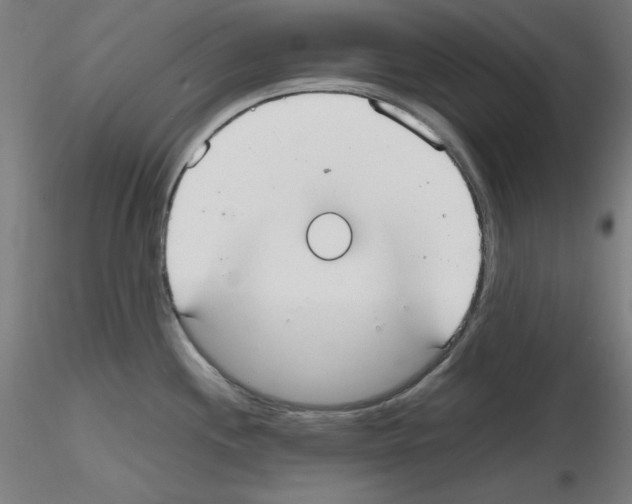 X0000115621244200912221221