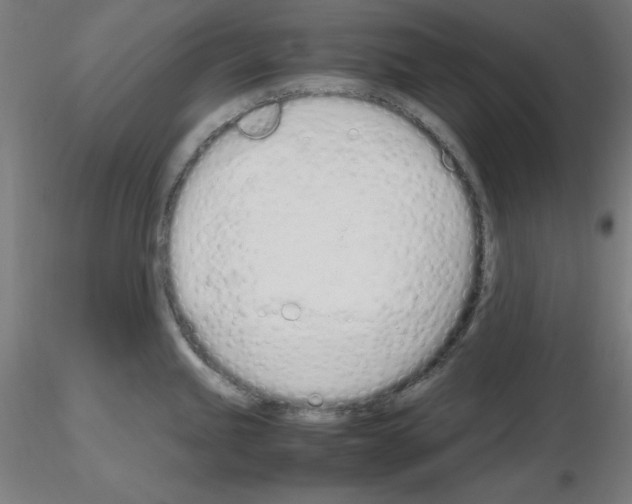 X0000115621245200912221221