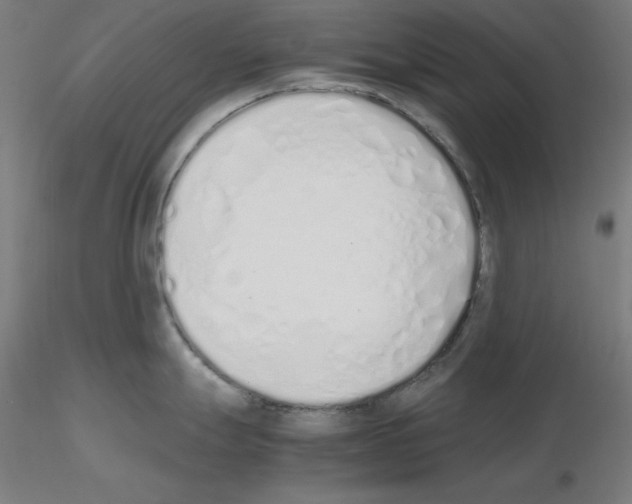 X0000115621247200912221221