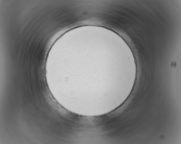 X0000115621248200912221221