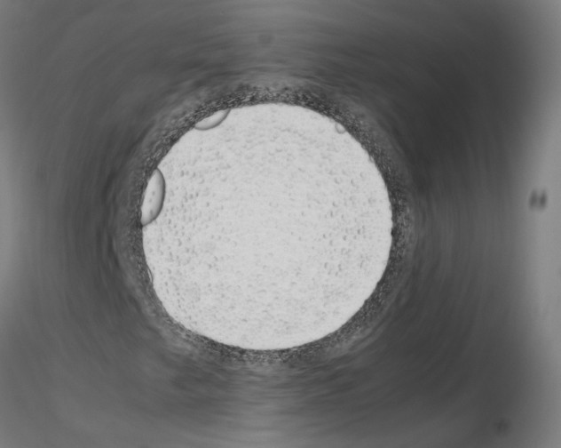 X0000115621249200912221221