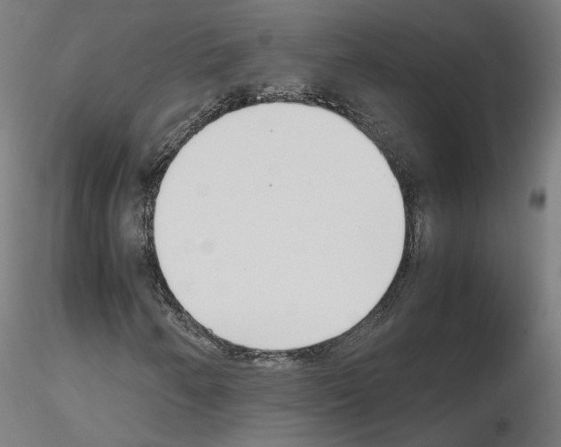 X0000115621250200912221221