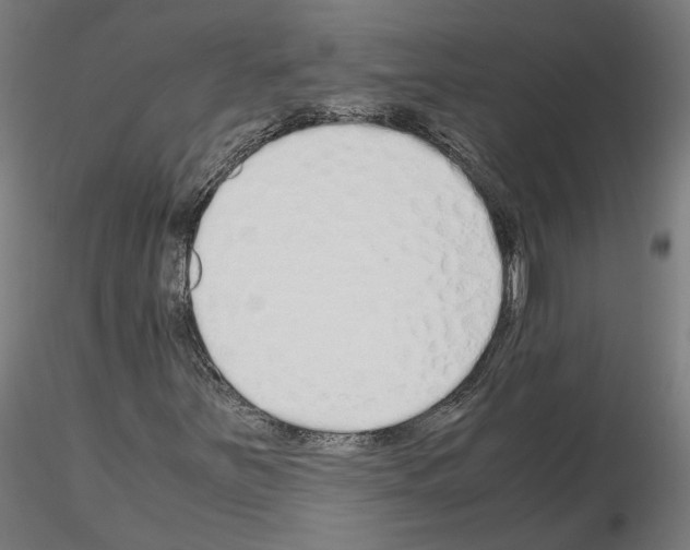 X0000115621251200912221221