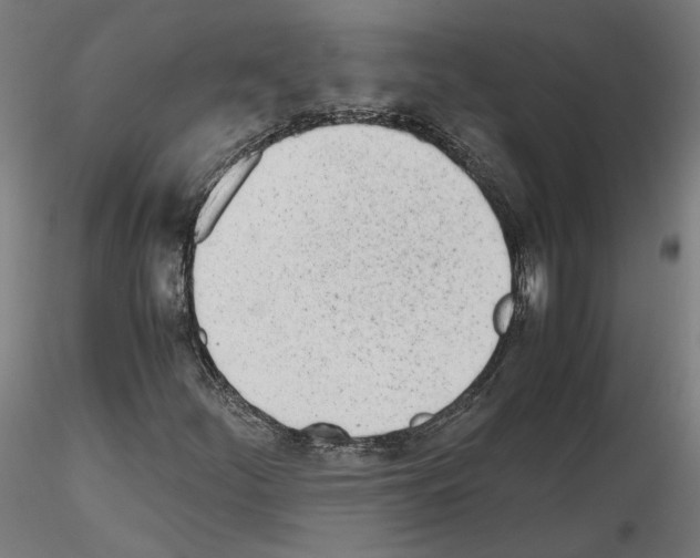 X0000115621252200912221221