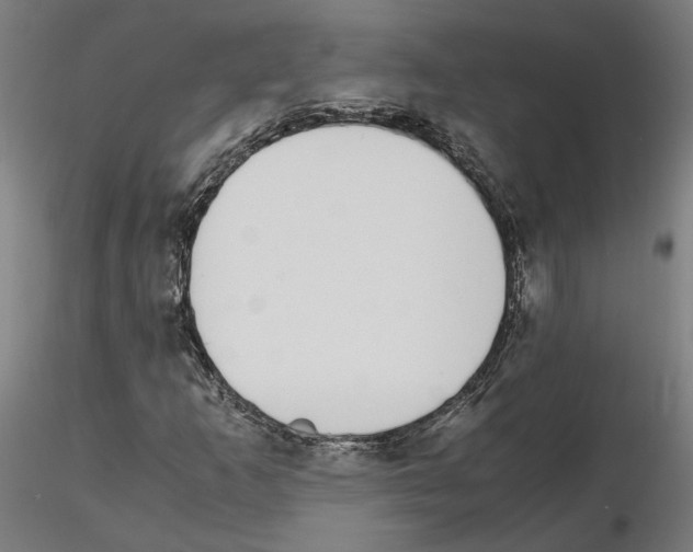 X0000115621253200912221221