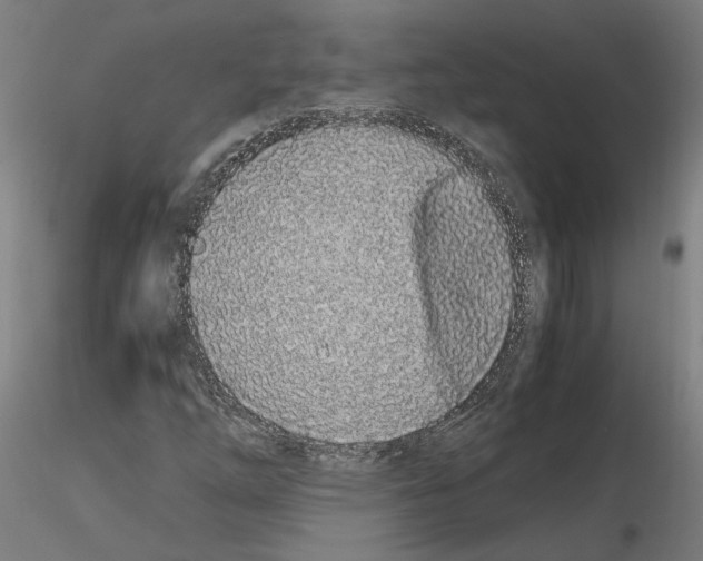 X0000115621254200912221221