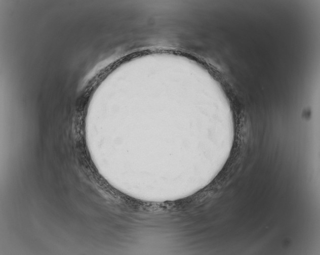 X0000115621255200912221221