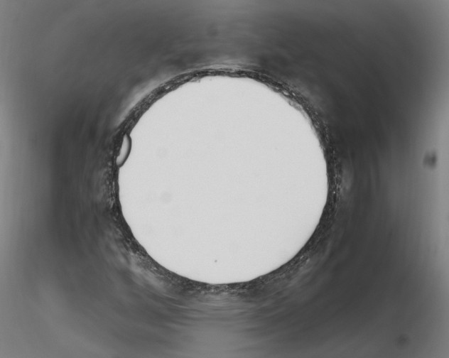 X0000115621256200912221221