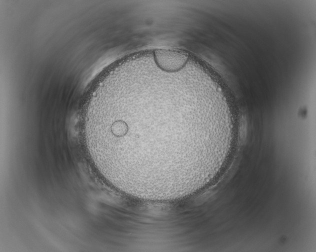 X0000115621258200912221221