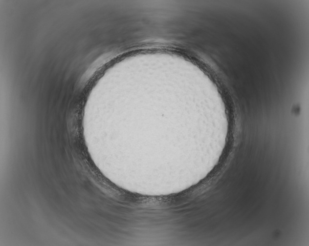 X0000115621259200912221221