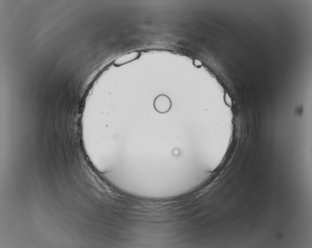 X0000115621260200912221221