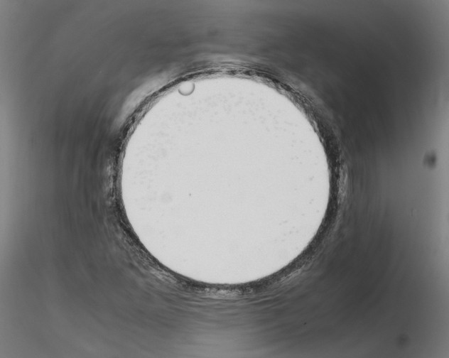 X0000115621261200912221221