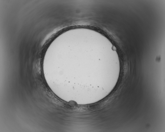 X0000115621262200912221221