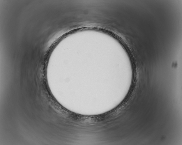 X0000115621263200912221221