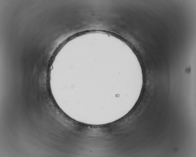 X0000115621264200912221221