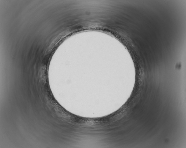 X0000115621265200912221221