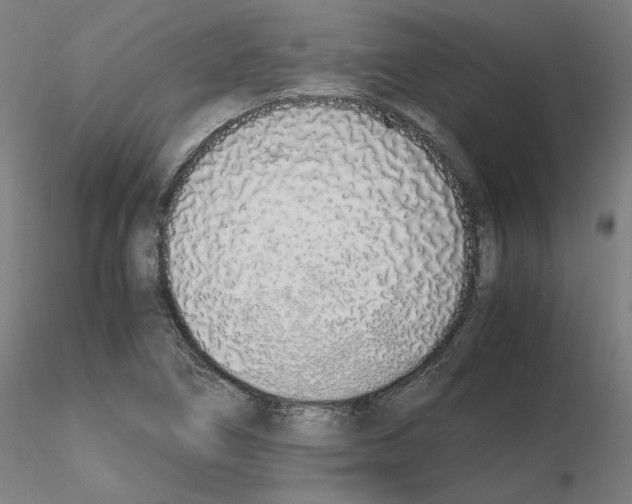 X0000115621266200912221221