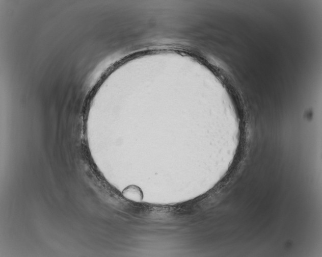 X0000115621267200912221221