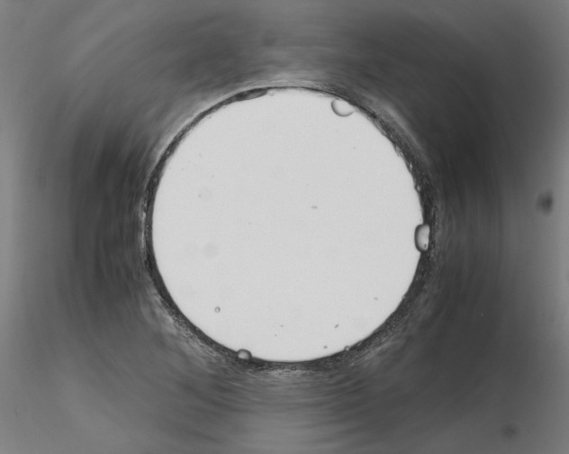 X0000115621268200912221220