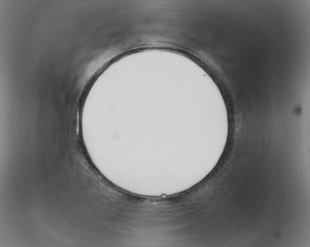 X0000115621269200912221220