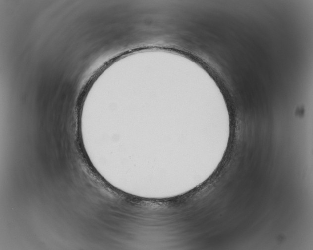 X0000115621270200912221220