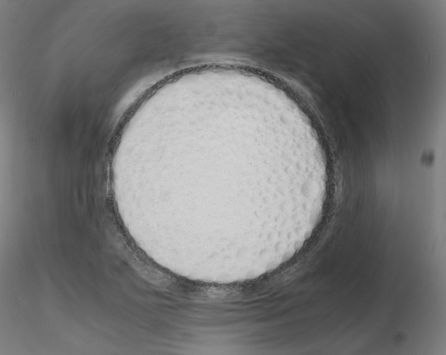 X0000115621271200912221220