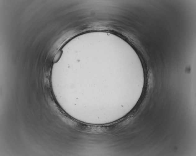 X0000115621273200912221220