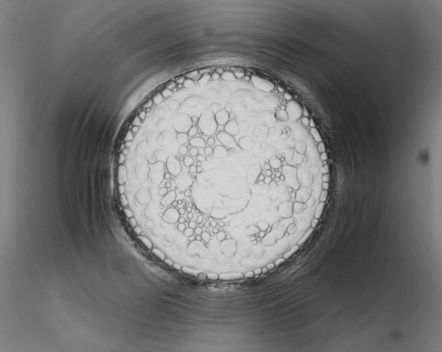 X0000115621274200912221220