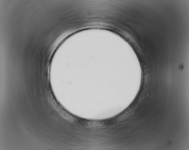 X0000115621275200912221220