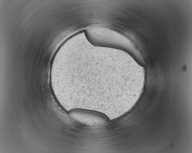 X0000115621276200912221220