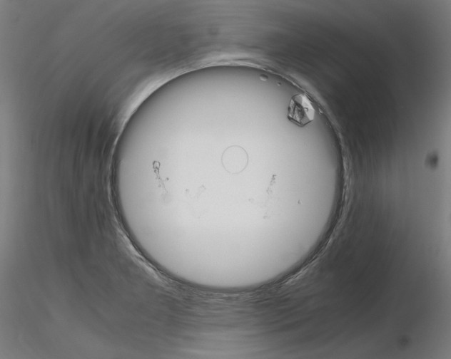 X0000115621277200912221220