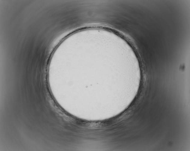 X0000115621279200912221220