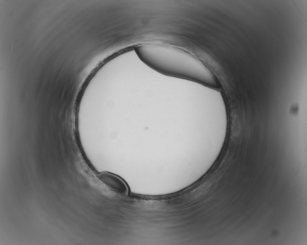 X0000115621280200912221220