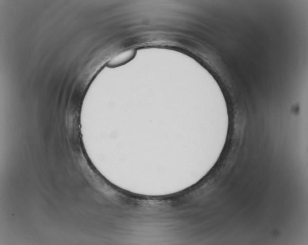 X0000115621281200912221220