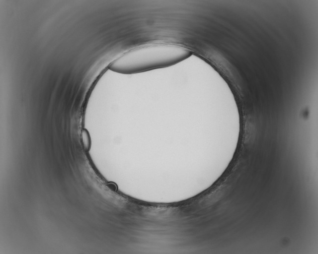 X0000115621284200912221220