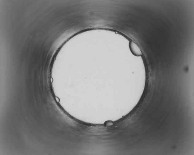 X0000115621285200912221220