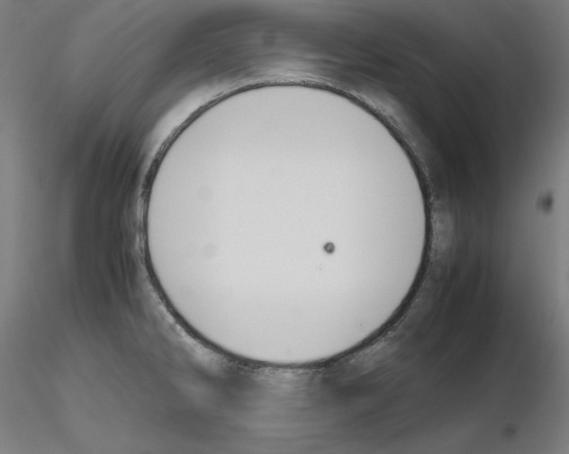 X0000115621286200912221220