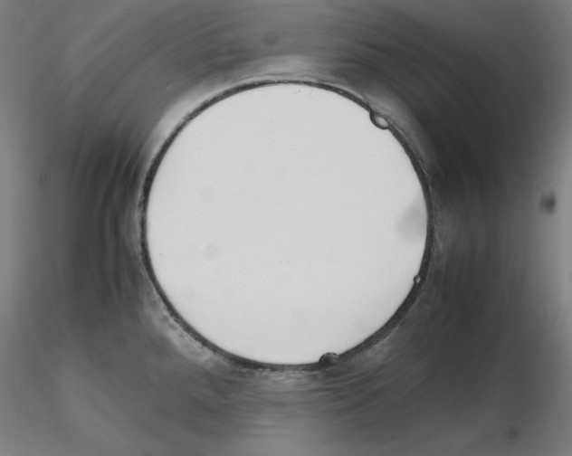 X0000115621288200912221220