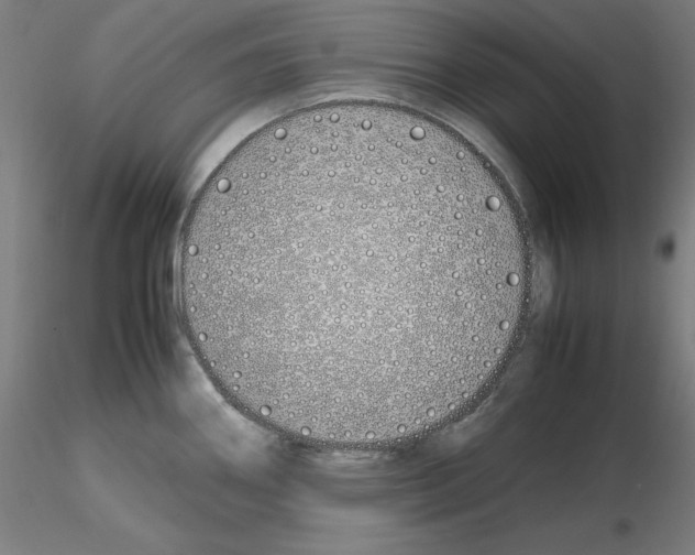 X0000115621290200912221220