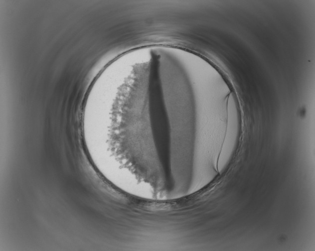 X0000115621291200912221220