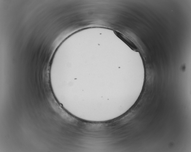 X0000115621292200912221220